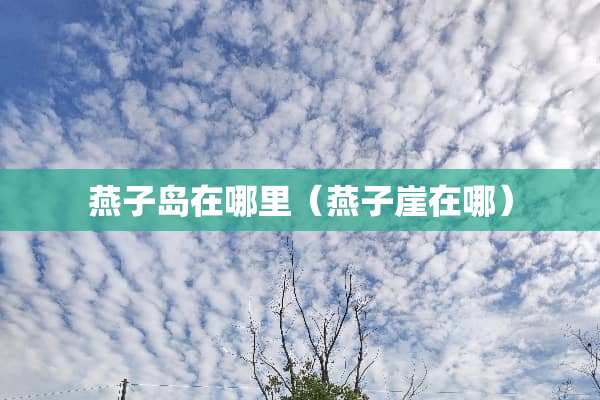 燕子岛在哪里（燕子崖在哪）