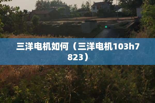 三洋电机如何（三洋电机103h7823）
