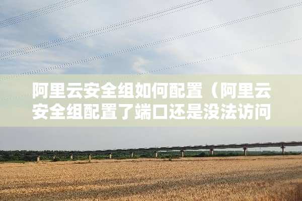 阿里云安全组如何配置（阿里云安全组配置了端口还是没法访问）