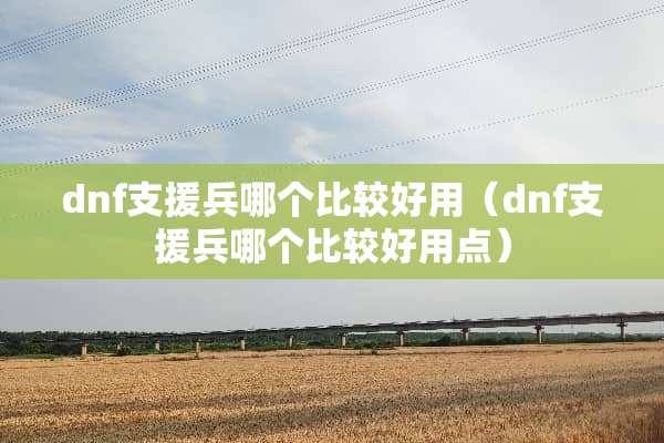 dnf支援兵哪个比较好用（dnf支援兵哪个比较好用点）