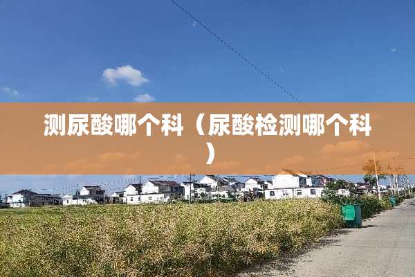 测尿酸哪个科（尿酸检测哪个科）
