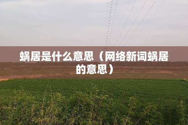蜗居是什么意思（网络新词蜗居的意思）