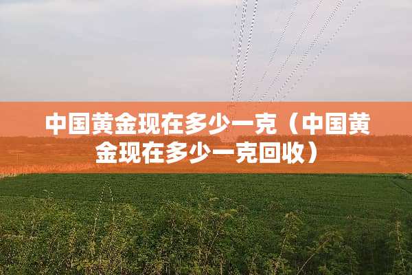 中国黄金现在多少一克（中国黄金现在多少一克回收）