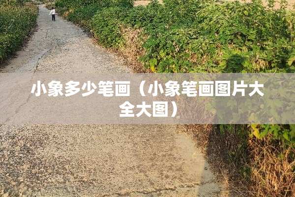 小象多少笔画（小象笔画图片大全大图）