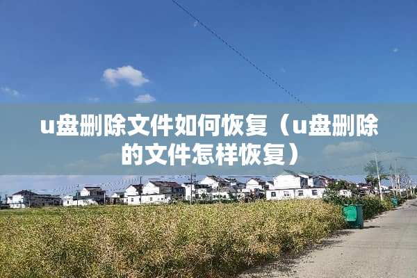u盘删除文件如何恢复（u盘删除的文件怎样恢复）