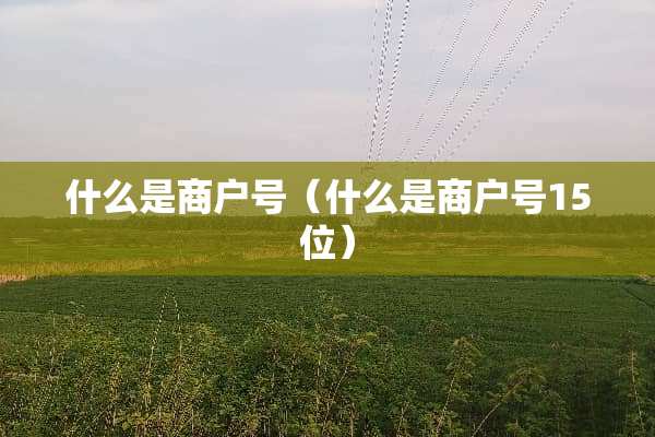 什么是商户号（什么是商户号15位）