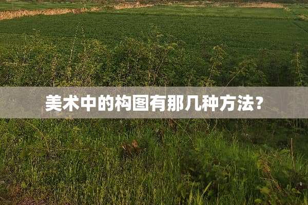 美术中的构图有那几种方法？