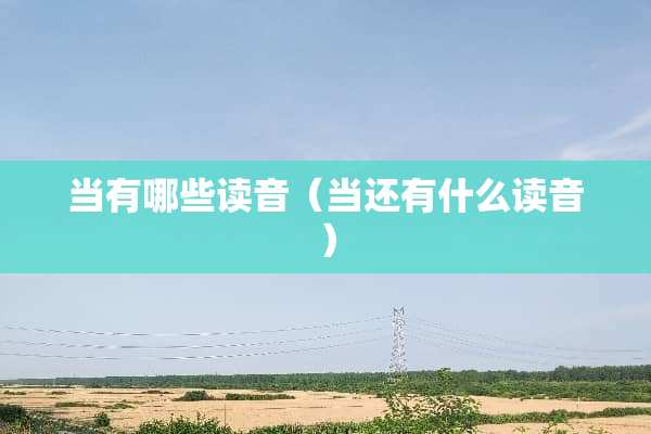 当有哪些读音（当还有什么读音）