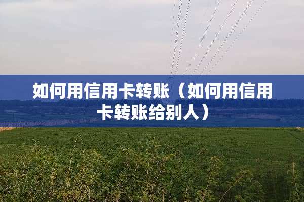 如何用***转账（如何用***转账给别人）