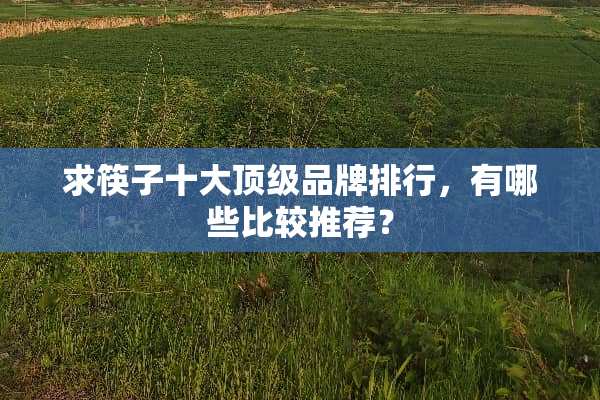 求筷子十大**品牌排行，有哪些比较推荐？