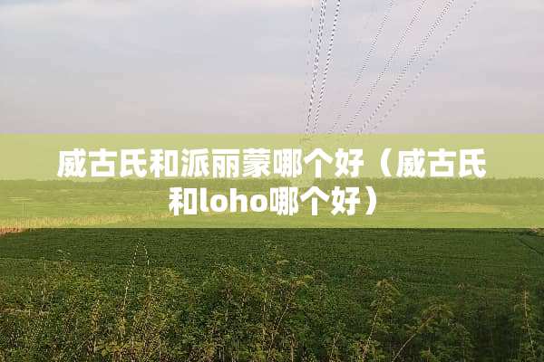威古氏和派丽蒙哪个好（威古氏和loho哪个好）