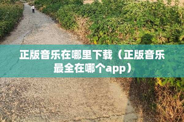 正版音乐在哪里下载（正版音乐最全在哪个app）