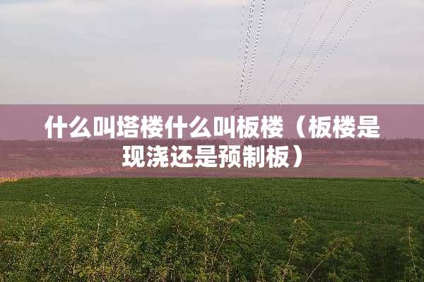 什么叫塔楼什么叫板楼（板楼是现浇还是预制板）