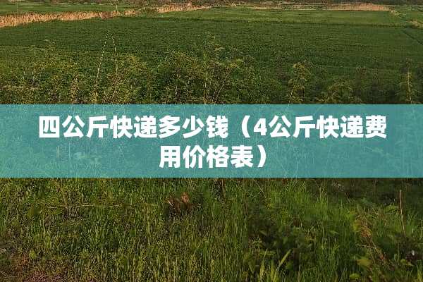 四公斤快递多少钱（4公斤快递费用价格表）