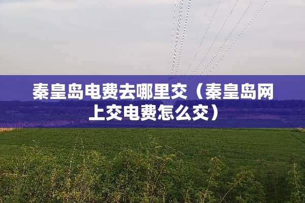 秦皇岛电费去哪里交（秦皇岛网上交电费怎么交）