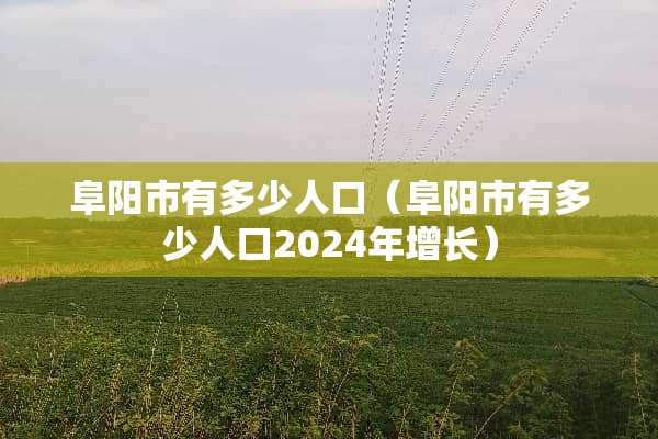 阜阳市有多少人口（阜阳市有多少人口2024年增长）