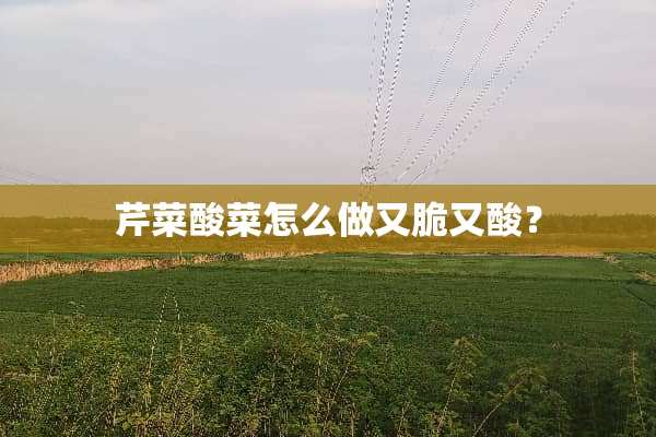 芹菜酸菜怎么做又脆又酸？
