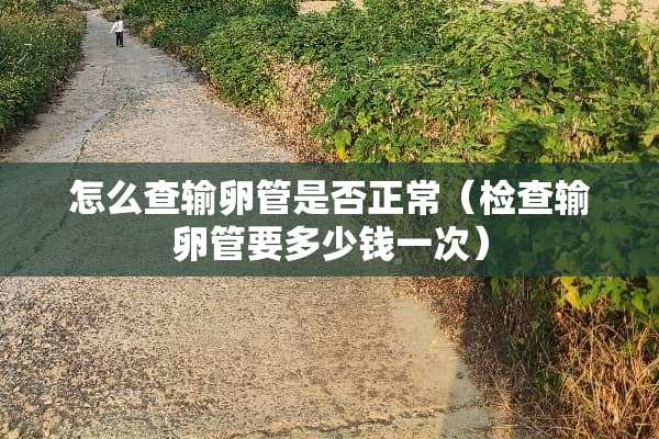 怎么查输卵管是否正常（检查输卵管要多少钱一次）