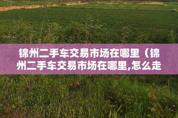 锦州二手车交易市场在哪里（锦州二手车交易市场在哪里,怎么走?）