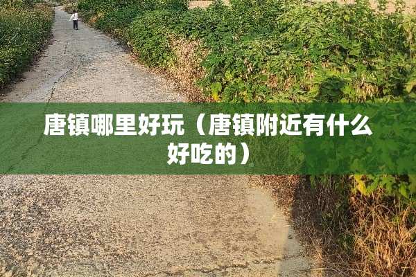 唐镇哪里好玩（唐镇附近有什么好吃的）