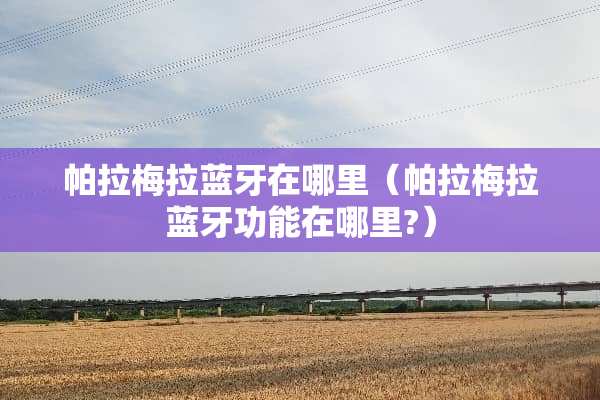 帕拉梅拉蓝牙在哪里（帕拉梅拉蓝牙功能在哪里?）