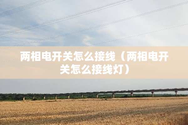 两相电开关怎么接线（两相电开关怎么接线灯）