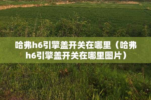 哈弗h6引擎盖开关在哪里（哈弗h6引擎盖开关在哪里图片）