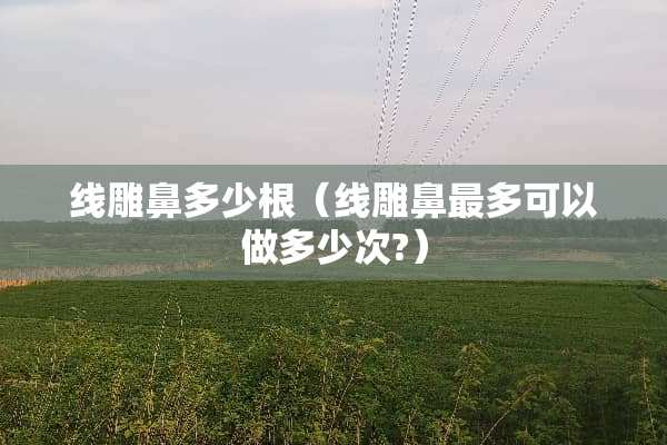 线雕鼻多少根（线雕鼻最多可以做多少次?）