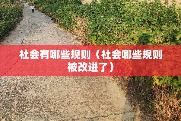 社会有哪些规则（社会哪些规则被改进了）