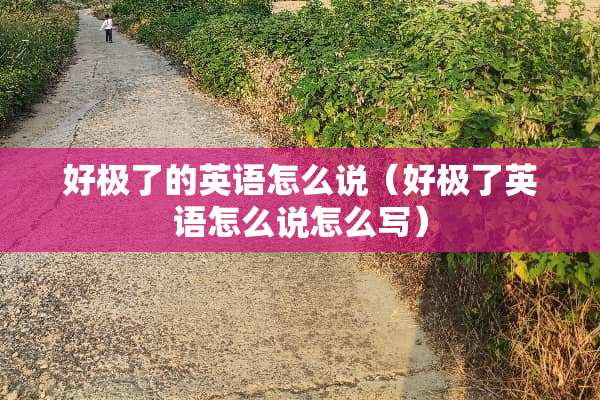 好极了的英语怎么说（好极了英语怎么说怎么写）