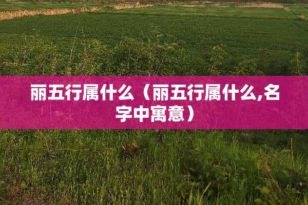 丽五行属什么（丽五行属什么,名字中寓意）