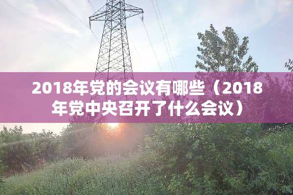 2018年*的会议有哪些（2018年***召开了什么会议）