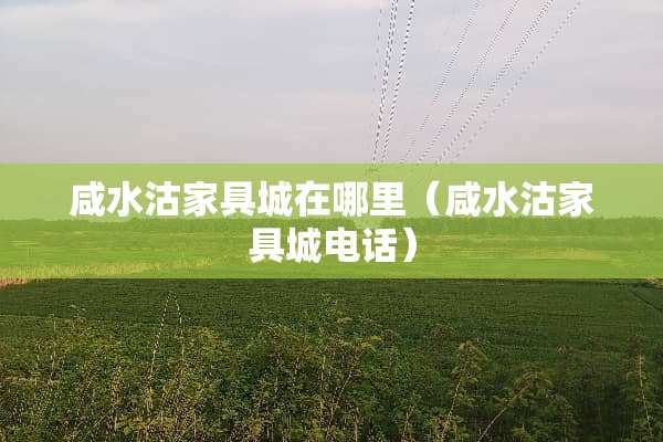 咸水沽家具城在哪里（咸水沽家具城电话）