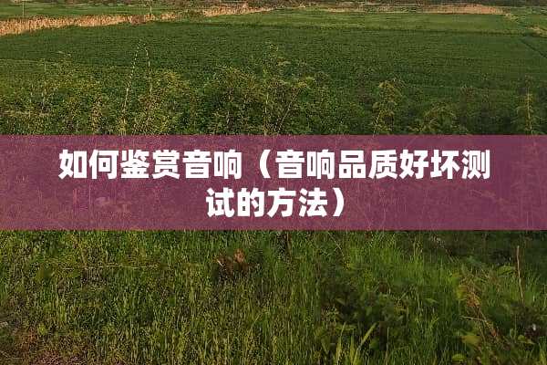 如何鉴赏音响（音响品质好坏测试的方法）