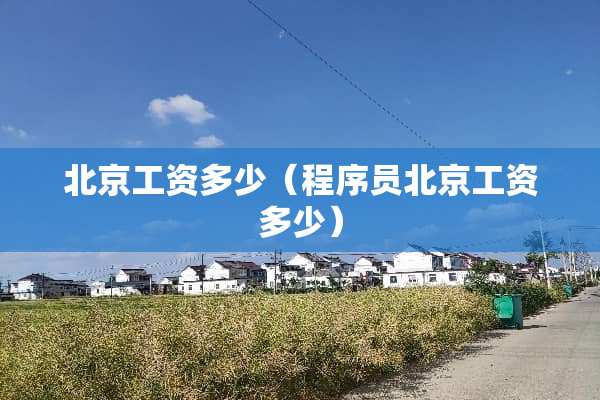 北京工资多少（程序员北京工资多少）