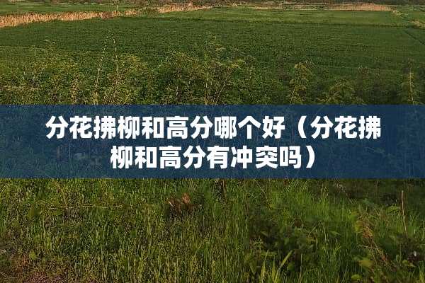 分花拂柳和高分哪个好（分花拂柳和高分有冲突吗）