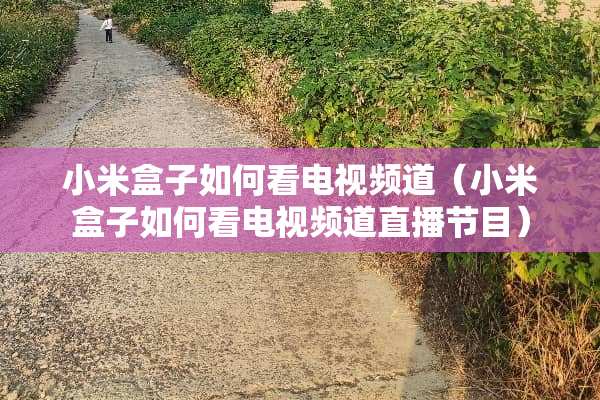 小米盒子如何看电视频道（小米盒子如何看电视频道直播节目）