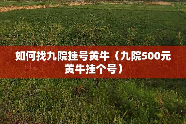 如何找九院挂号黄牛（九院500元黄牛挂个号）