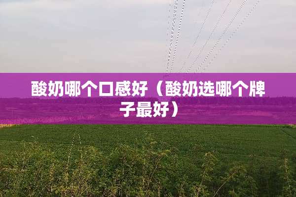 酸奶哪个口感好（酸奶选哪个牌子最好）