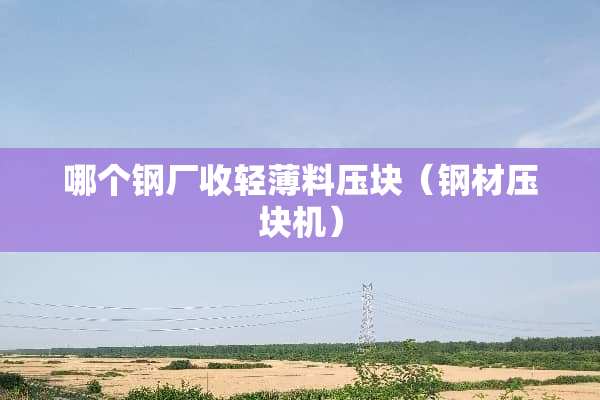 哪个钢厂收轻薄料压块（钢材压块机）