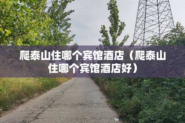 爬泰山住哪个宾馆酒店（爬泰山住哪个宾馆酒店好）