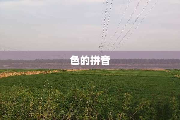 色的拼音
