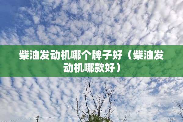 柴油发动机哪个牌子好（柴油发动机哪款好）