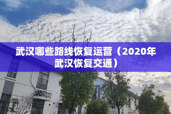 武汉哪些路线恢复运营（2020年武汉恢复交通）