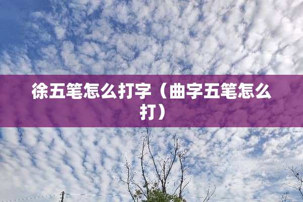 徐五笔怎么打字（曲字五笔怎么打）