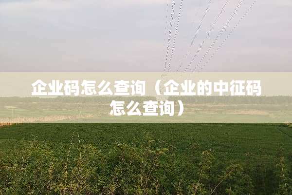 企业码怎么查询（企业的中征码怎么查询）