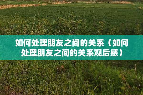 如何处理朋友之间的关系（如何处理朋友之间的关系观后感）