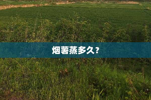 烟薯蒸多久？