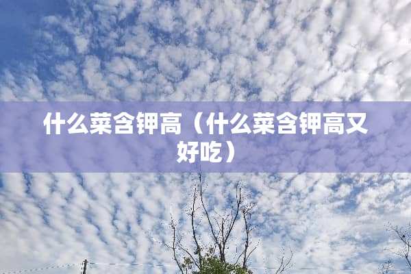 什么菜含钾高（什么菜含钾高又好吃）