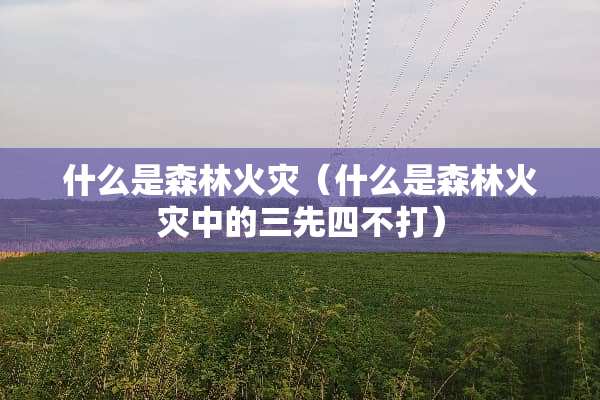 什么是森林火灾（什么是森林火灾中的三先四不打）